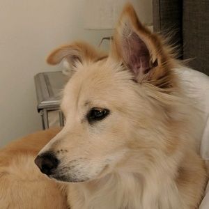 Meet your Posher, Derek